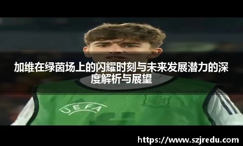 加维在绿茵场上的闪耀时刻与未来发展潜力的深度解析与展望